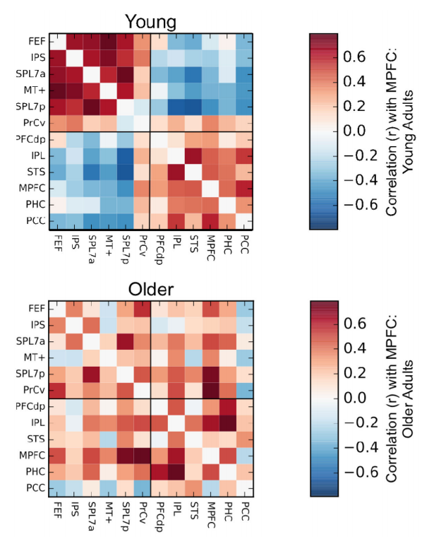 Old Brains, Crossed Wires