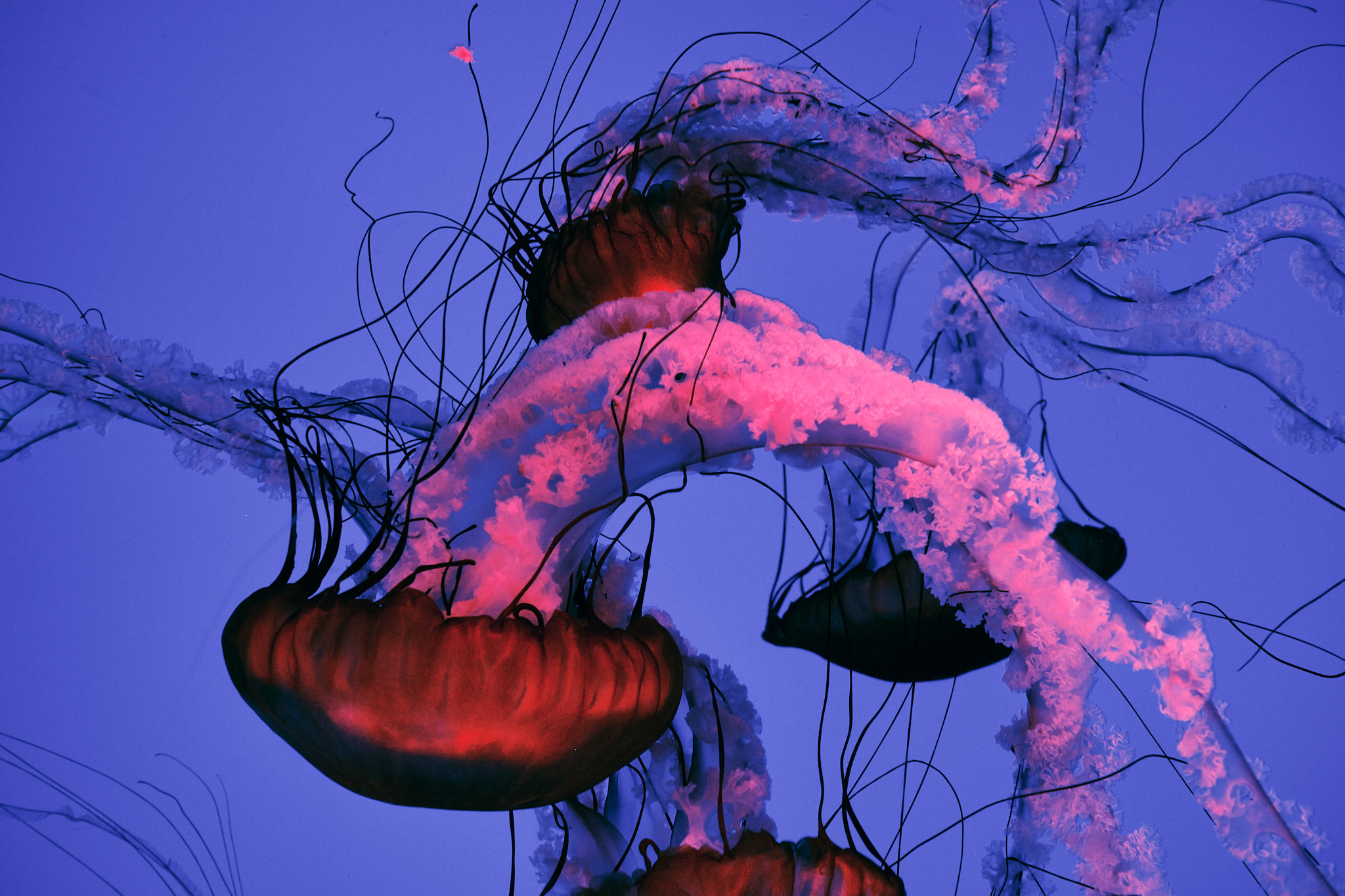 Street photograph 13